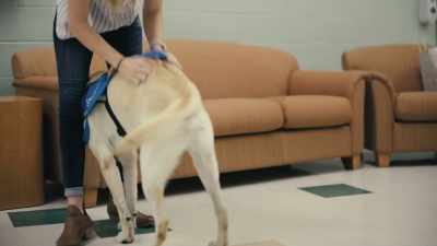 Our bond is unlike
any interspecies relationship on Earth. - Inside the Mind of a Dog