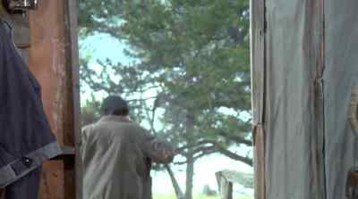 OUR BROTHERS WILL BE FREE! - The Bears and I