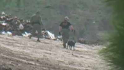 OUR CANINE HANDLERS WILL
LOOK AROUND AND SEE IF - Hometown Homicide