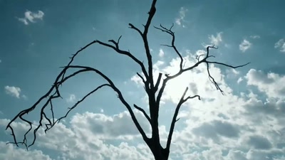'Our changing climate - A Year on Planet Earth