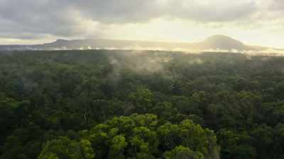 Our climbing objective
is deep in the Amazon jungle. - Explorer: The Last Tepui