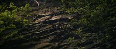 Our elders' pasts - The Mothman Legacy