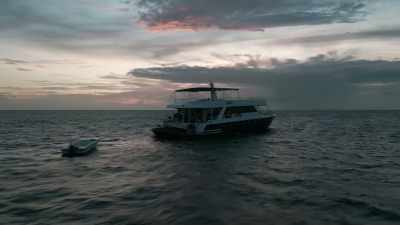 Our first dive this morning - Love in the Maldives