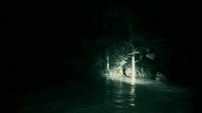 OUR FLASHLIGHTS WILL
REFLECT OFF THEIR EYES, - Expedition Mungo