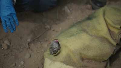 Our forensic anthropologist - Buried In The Backyard