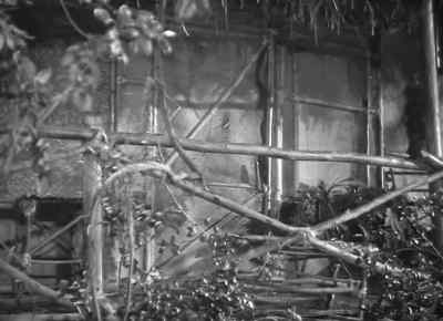Our home. - Tarzan and the Amazons