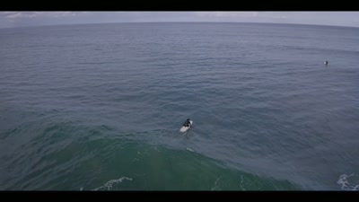Our house was attached to the surf shop.
It was really big. - Chasing Waves