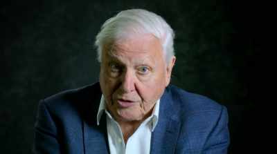 Our intelligence changed the way
in which we evolved. - David Attenborough: A Life on Our Planet