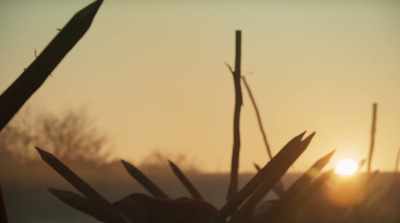 Our kingdom was attacked
without provocation... - Dragonheart Vengeance