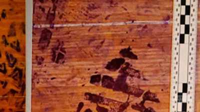  - Our lab scientist is able
 to treat this almost like - The Pike County Murders: A Family Massacre