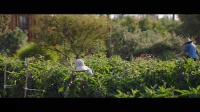 - Our life has become
a bit of a circus. - The Biggest Little Farm: The Return