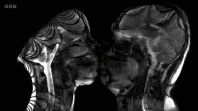 Our lips, just like our fingertips, - The Human Body: Secrets of Your Life Revealed