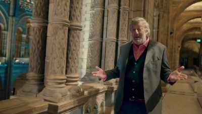 Our passion
for all things magical, - Fantastic Beasts: A Natural History