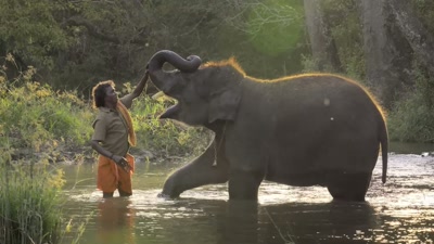 Our people do not fear elephants, - The Elephant Whisperers