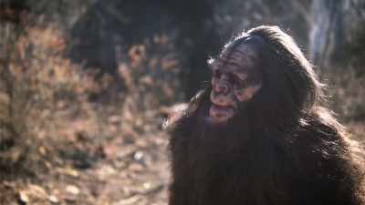 Our reality shaped
by the perceptions - Secrets of the Sasquatch