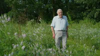 Our relationship with plants
has changed throughout history, - The Green Planet
