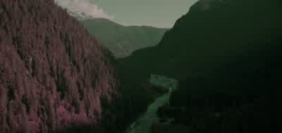 Our Scentiers will dream its willows. - See