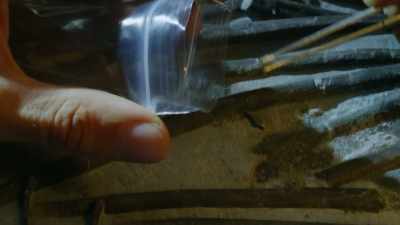 Our search for evidence
will lead us - Attenborough and the Sea Dragon