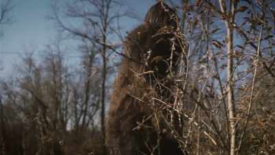 Our small part in
a large movement, - Secrets of the Sasquatch