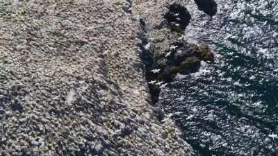 Our waters, in fact,
support nearly 70% - Wild Isles