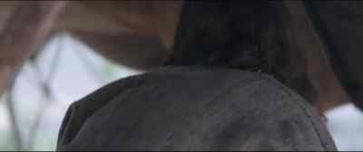 Our work goes on. - Son of God