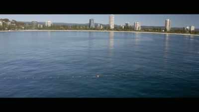 Our world has evolved beyond
recognition since then, - Envoy: Shark Cull