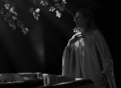 Out, damned spot. Out, I say. - The Tragedy of Macbeth