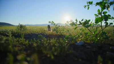 Out here, that can be risky. - The Secret Lives of Animals