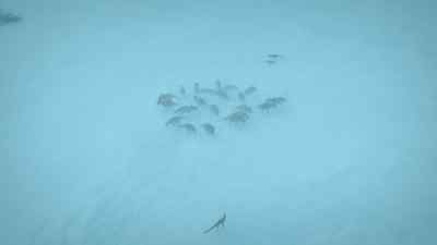 Out here,
the herd will be able to close ranks - Prehistoric Planet