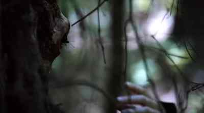 Out of death comes life. - Salem