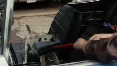 - Out the car.
- (dog growling) - Poker Face