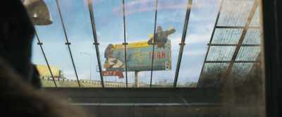 Out this window
is the billboard for my show. - The One and Only Ivan