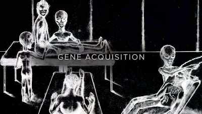 Ova or sperm is extracted
following another abduction. - Extraordinary: The Seeding