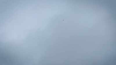 Over a dozen of those reports - Alien Abduction: Answers