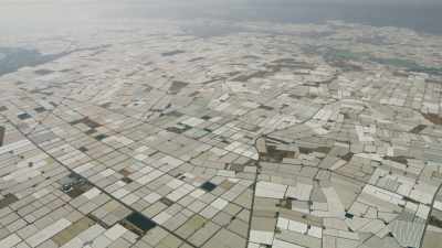Over a million species
could be wiped out, - Seven Worlds, One Planet