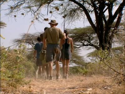 - Over at Boran, - Survivor