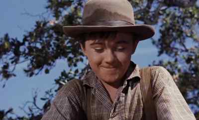 Over bit the right ear.
Under slope the left. - Old Yeller
