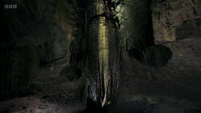 Over centuries, it can create
all kinds of pillars and curtains. - Wild Isles