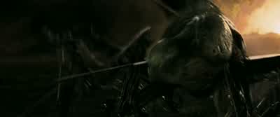 Over here, let's go! - The Maze Runner
