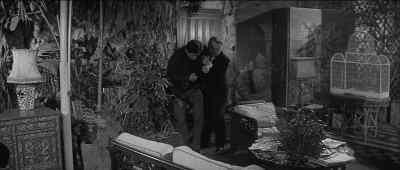 Over here and lie down. - Curse of the Fly