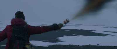 Over here! Over here! - Arctic