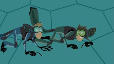 Over here. - Wild Kratts