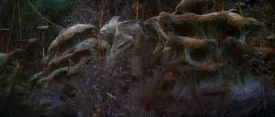 Over here! - The Dark Crystal