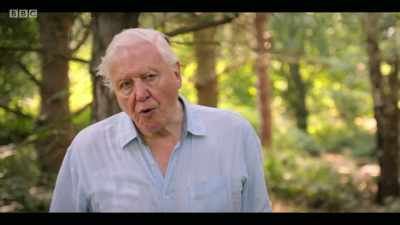 Over the course of my life, - Extinction: The Facts