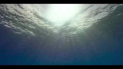 Over the last 40 years, - Our Oceans