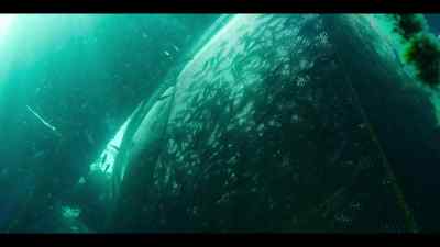 Over the last two centuries, - Our Oceans