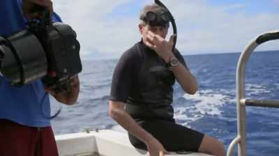 "Over the past few years" - Secrets of the Whales