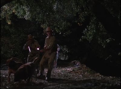 Over there.
[ Indistinct ] - Quantum Leap