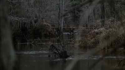 Over there. - Southern Comfort