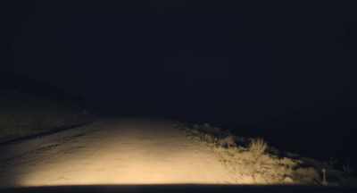 Over there, there is a town. - No Bears